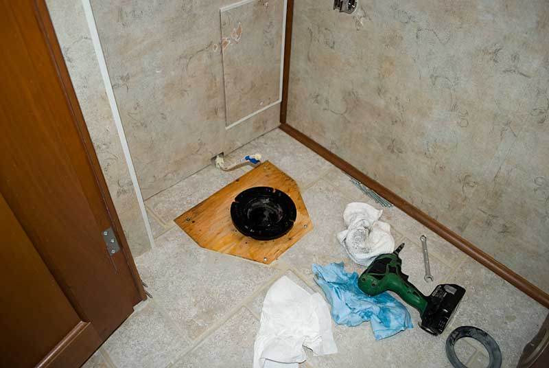 What lives under the potty platform