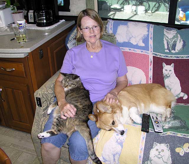 Jane enjoying the air conditioning with the critters