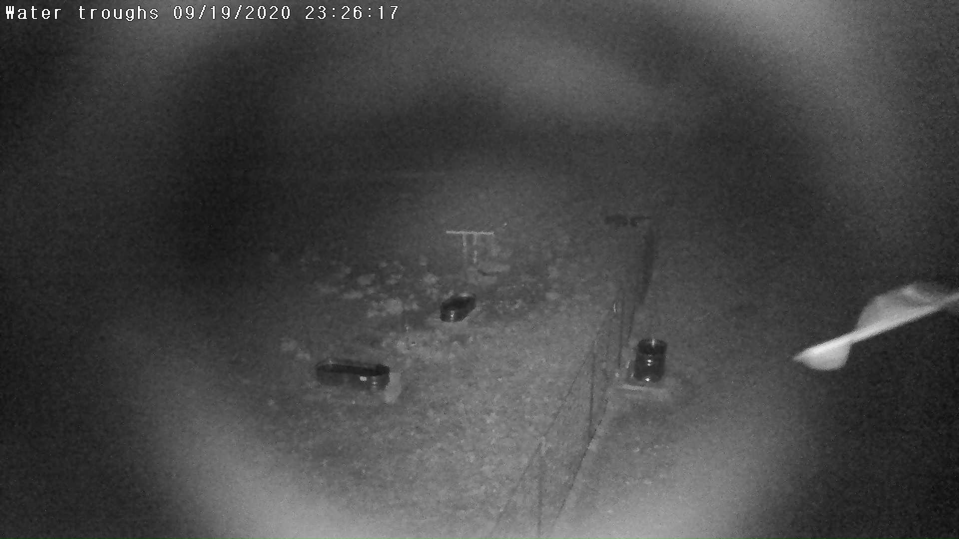 View of the water troughs and hay